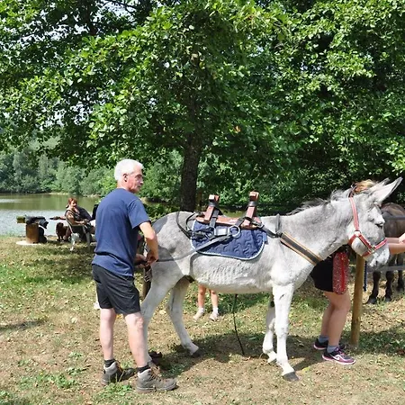 Les Du Moulin Du Chatain 2 * Payzac (Dordogne)