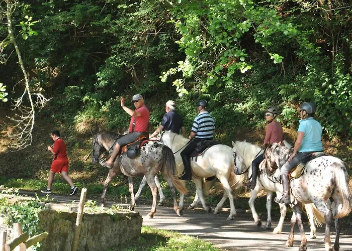 Les Du Moulin Du Chatain 2 *
